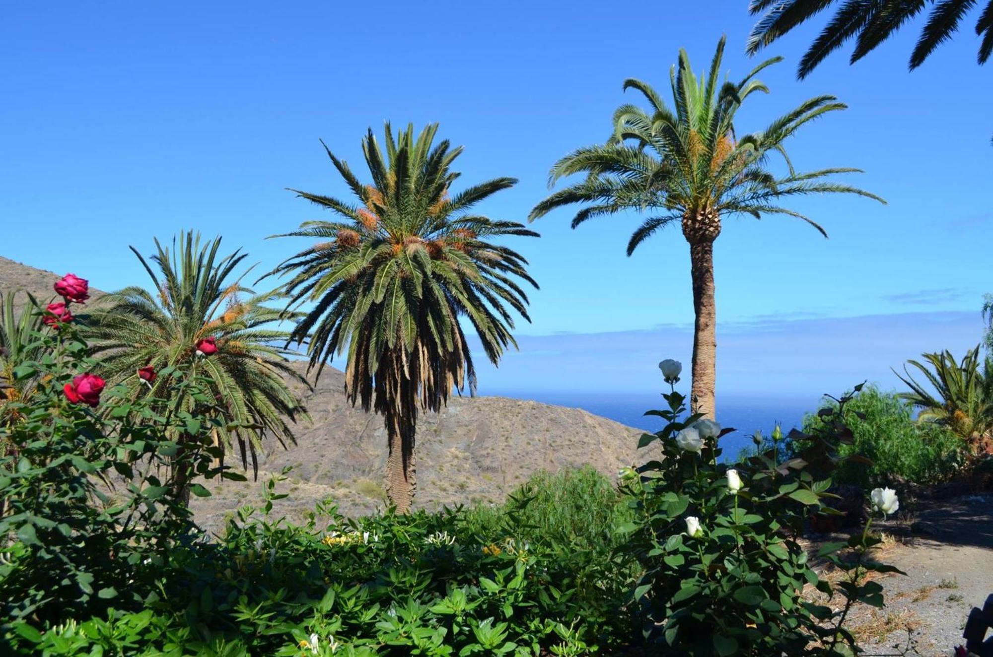 Finca Ossorio Casa Rita 巴列埃尔莫索 外观 照片
