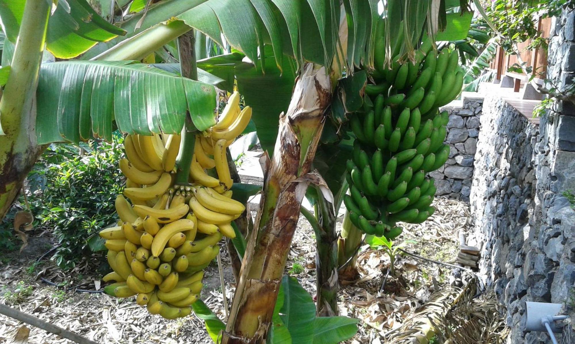 Finca Ossorio Casa Rita 巴列埃尔莫索 外观 照片